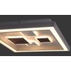 Plafoniera Paul Neuhaus ELIZA LED Bianco, 1-Luce