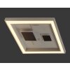 Plafoniera Paul Neuhaus ELIZA LED Bianco, 1-Luce