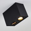 Baishan Plafoniera Nero, 2-Luci