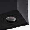 Baishan Plafoniera Nero, 2-Luci