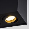 Baishan Plafoniera Nero, 2-Luci