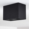 Baishan Plafoniera Nero, 2-Luci