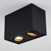 Baishan Plafoniera Nero, 2-Luci
