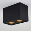 Baishan Plafoniera Nero, 2-Luci