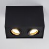 Baishan Plafoniera Nero, 2-Luci