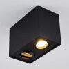 Baishan Plafoniera Nero, 2-Luci