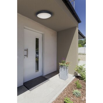 Brilliant MEDWAY Applique da esterno LED Antracite, 1-Luce