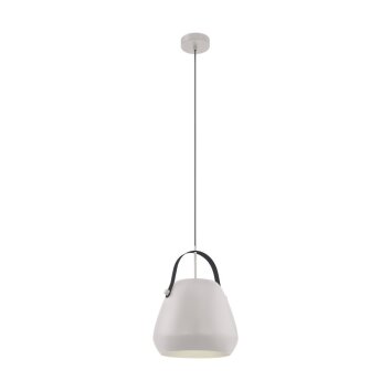 EGLO BEDNALL Lampadario a sospensione Grigio, Nero, 1-Luce