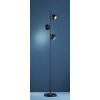 Trio DAKOTA Lampada da terra Nero, 3-Luci