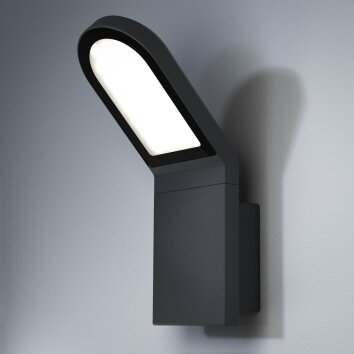 Osram ENDURA Applique da esterno LED Grigio, 1-Luce