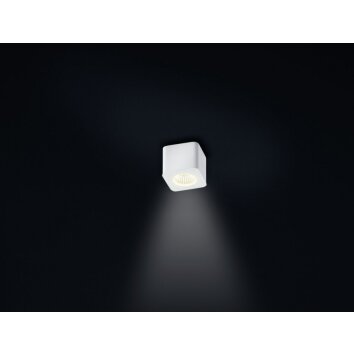 Helestra OSO Plafoniera LED Bianco, 1-Luce
