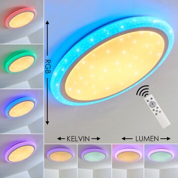 Lowell Plafoniera LED Bianco, 2-Luci, Telecomando, Cambia colore