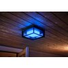 Philips Hue Ambiance White & Color Econic Applique LED Nero, 1-Luce, Cambia colore
