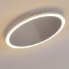 Aitrach Plafoniera LED Argento, Bianco, 1-Luce