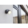 Lutec TRUMPET Applique da esterno LED Antracite, 1-Luce
