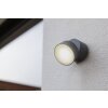 Lutec TRUMPET Applique da esterno LED Antracite, 1-Luce