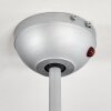 Sanford ventilatore da soffitto Argento, 1-Luce, Telecomando