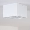 Baishan Plafoniera Bianco, 4-Luci