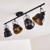 Safari Plafoniera oro Nero, 4-Luci