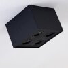 Baishan Plafoniera Nero, 4-Luci