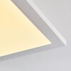 Barasat Plafoniera LED Bianco, 1-Luce
