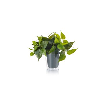 Trio Plant fiore LED Verde