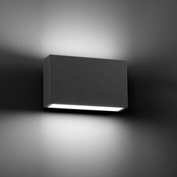 Faro Tane Applique per esterno LED Antracite, 2-Luci