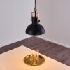 Chetco Lampadario a sospensione Legno chiaro, Nero, 1-Luce