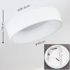 Kampala Plafoniera LED Bianco, 1-Luce