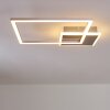 Chilkat Plafoniera LED Nichel opaco, 1-Luce