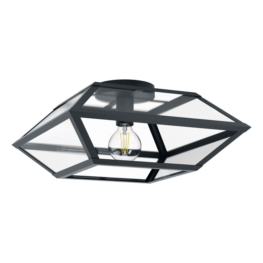 EGLO CASEFABRE Plafoniera Nero, 1-Luce main product photo