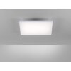 Paul Neuhaus Q-FLAG Plafoniera LED Bianco, 1-Luce, Telecomando, Cambia colore